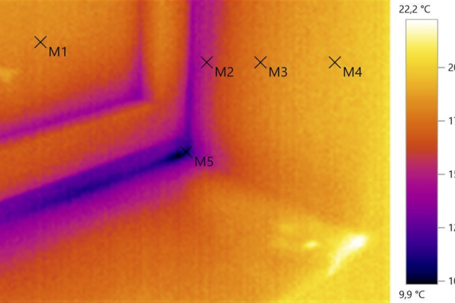 IR Bild